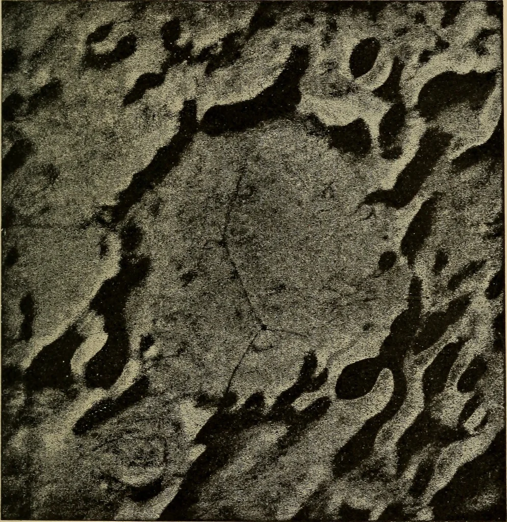 An illustration from Astronomy for amateurs, 1904, leaf 272