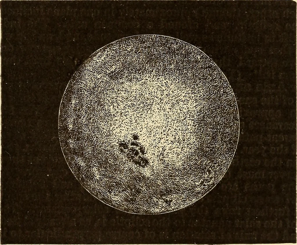 An illustration from Astronomy for high schools and colleges, 1889, leaf 308