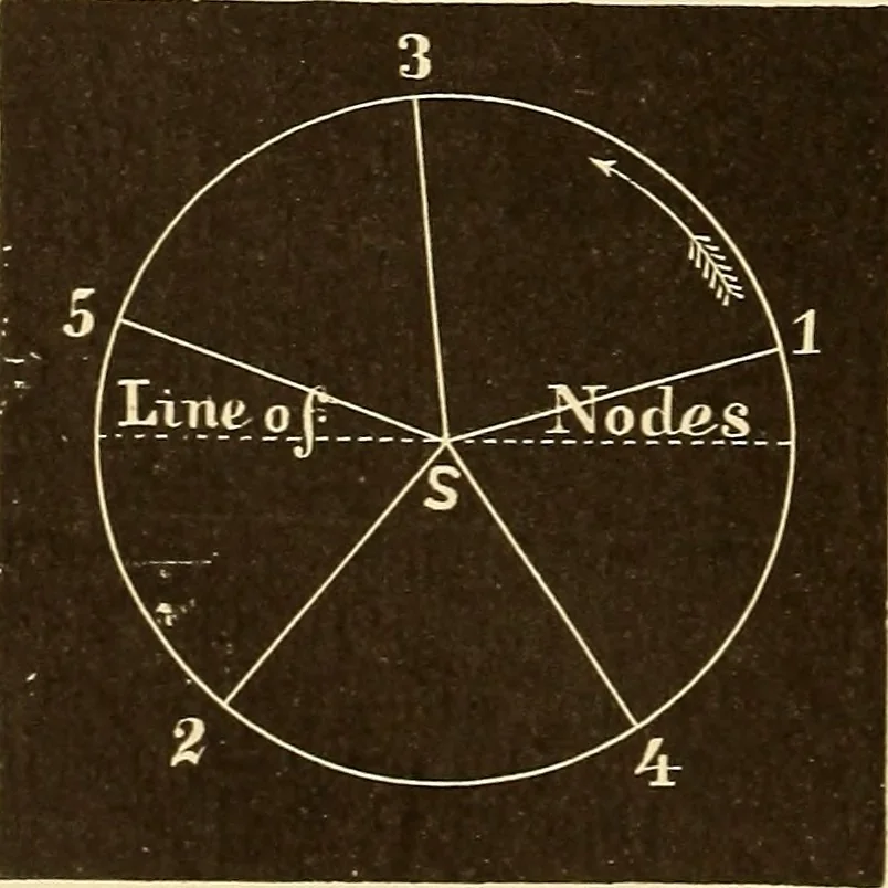 An illustration from Astronomy for high schools and colleges, 1889, leaf 339
