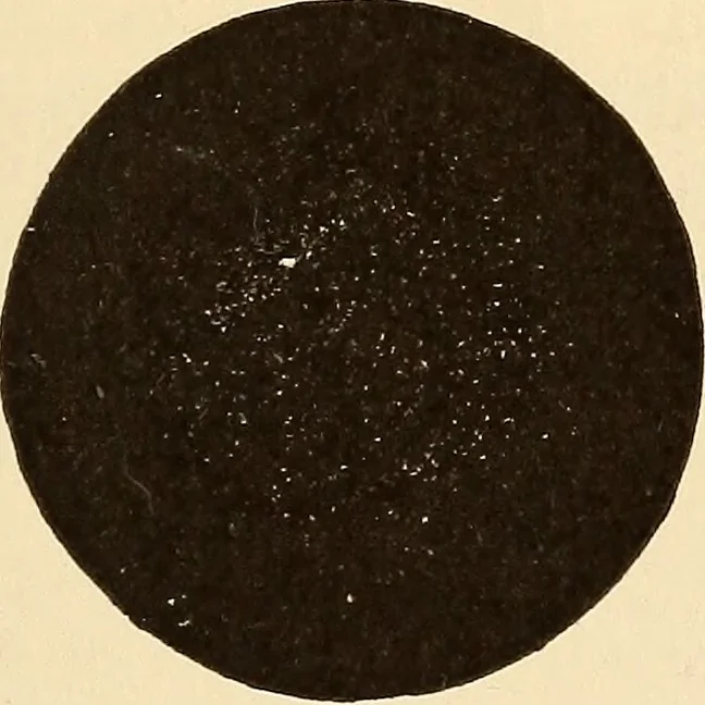 An illustration from Astronomy for high schools and colleges, 1889, leaf 408