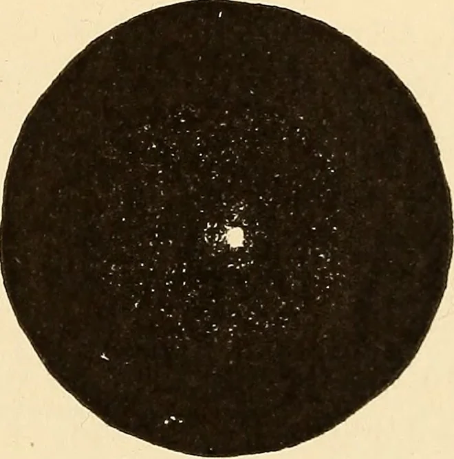 An illustration from Astronomy for high schools and colleges, 1889, leaf 408