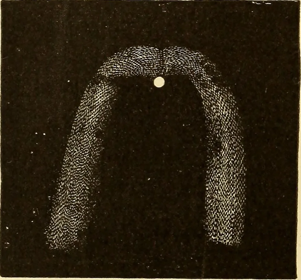 An illustration from Astronomy for high schools and colleges, 1889, leaf 411