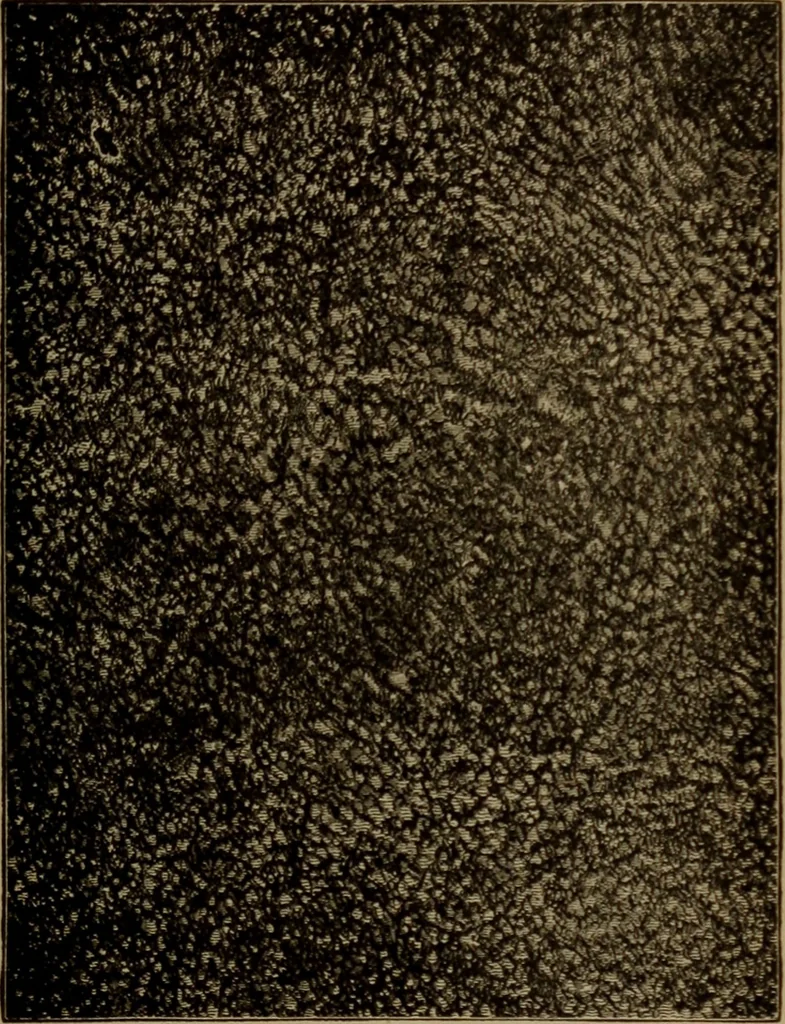 An illustration from Astronomy for high schools and colleges, 1881, leaf 300