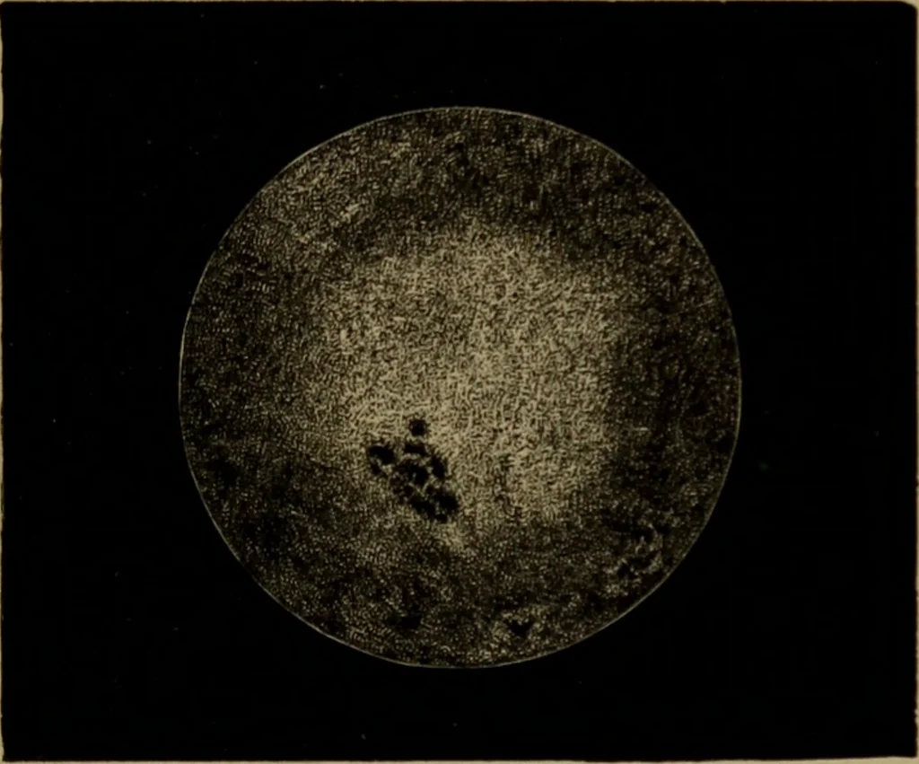 An illustration from Astronomy for high schools and colleges, 1881, leaf 308