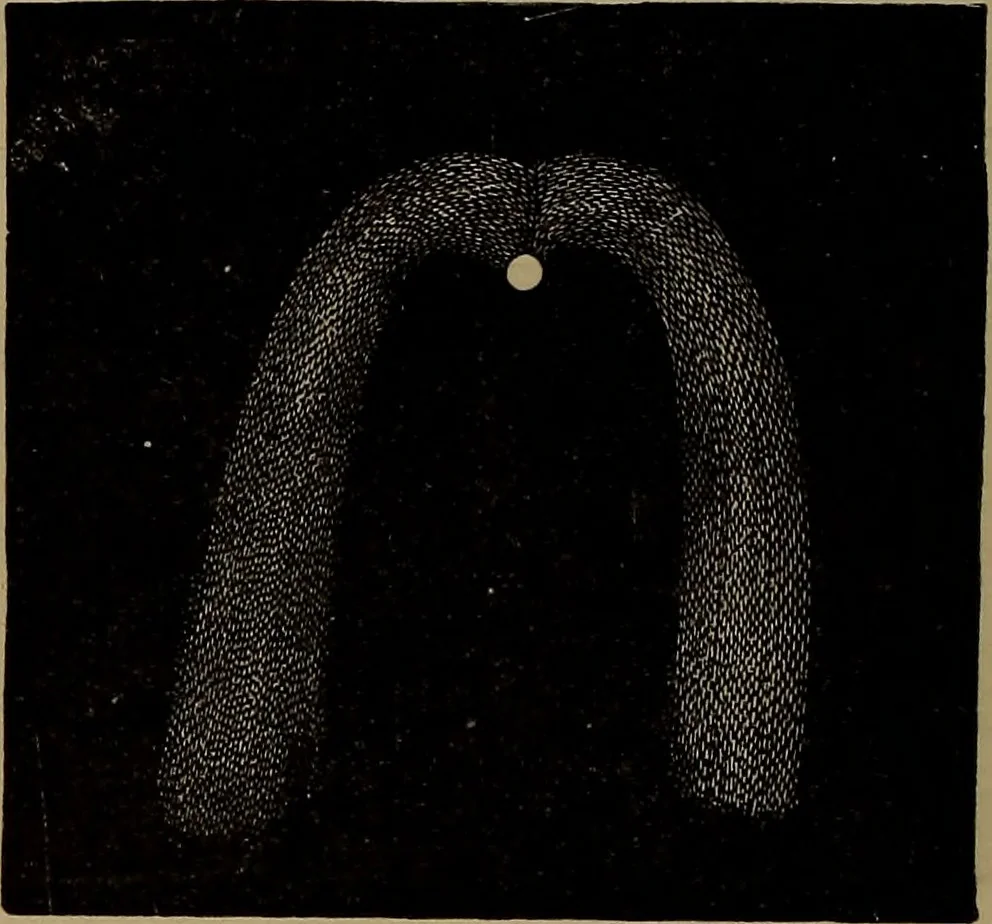An illustration from Astronomy for high schools and colleges, 1881, leaf 411