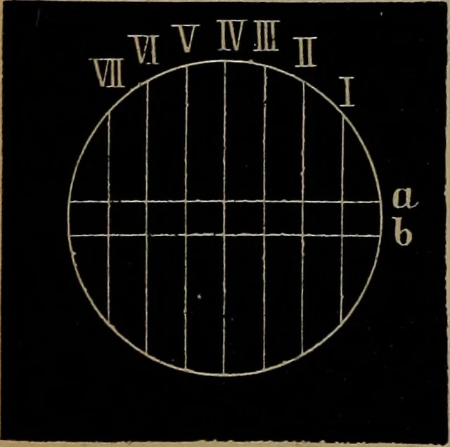 An illustration from Astronomy for high schools and colleges, 1881, leaf 95