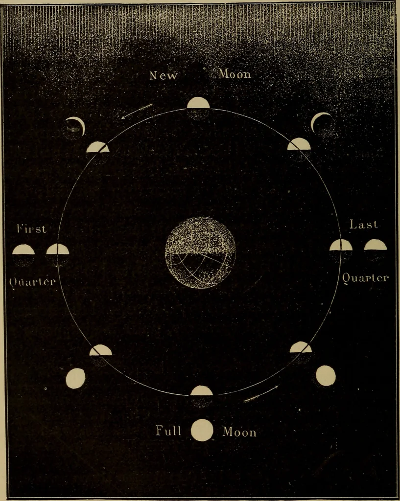 An illustration from Astronomy for schools and general readers, 1892, leaf 133