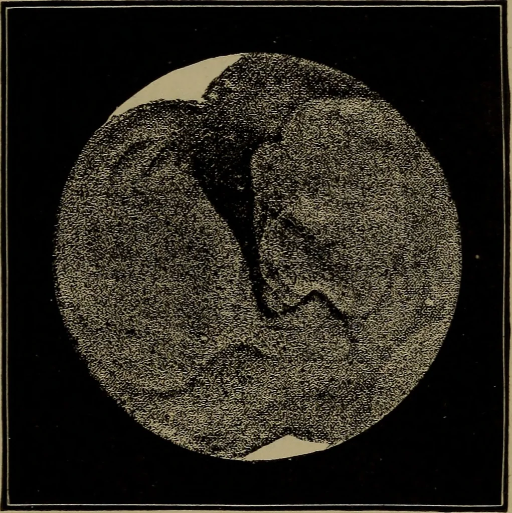 An illustration from Astronomy for schools and general readers, 1892, leaf 160