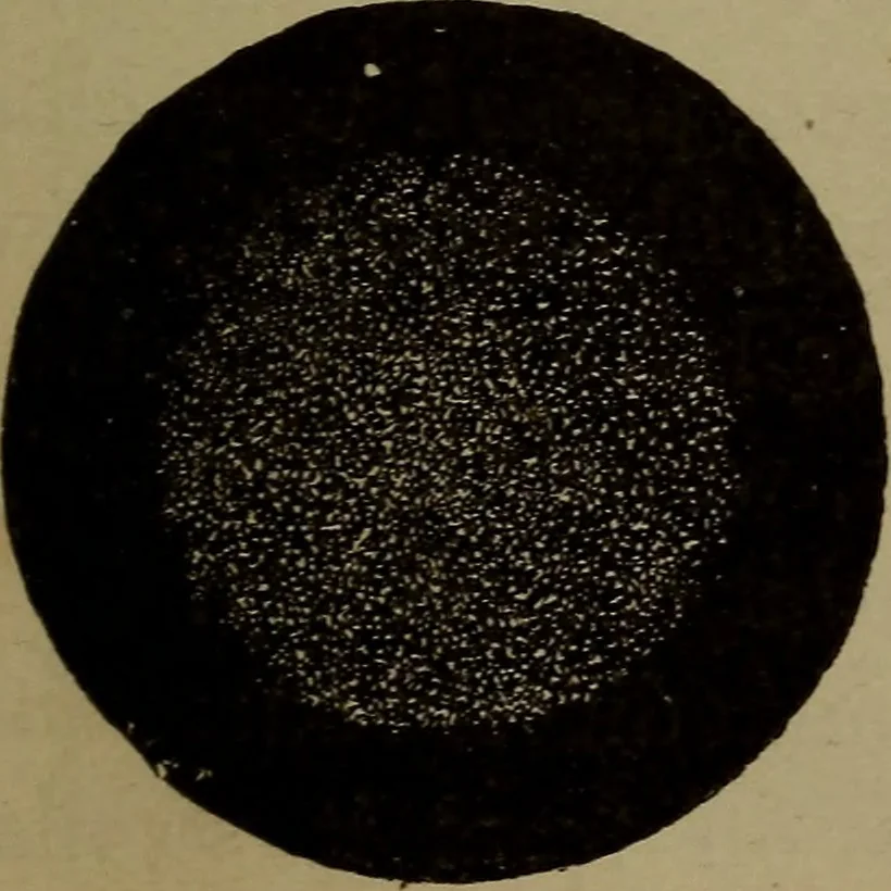 An illustration from Astronomy for schools and general readers, 1892, leaf 194