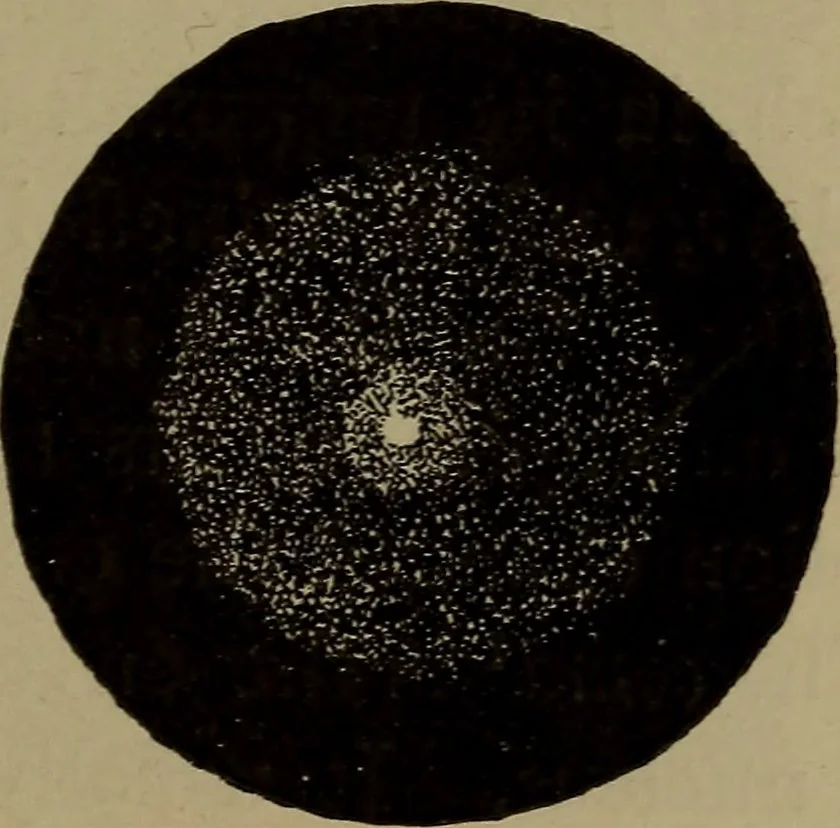 An illustration from Astronomy for schools and general readers, 1892, leaf 194