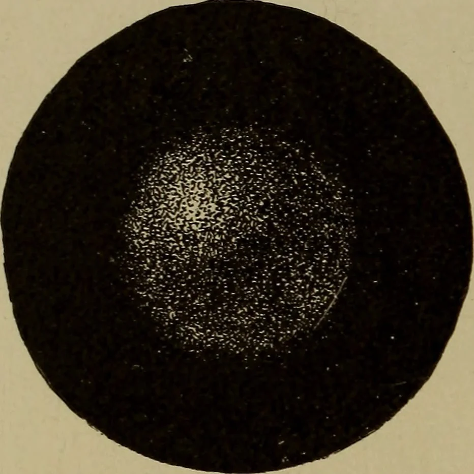 An illustration from Astronomy for schools and general readers, 1892, leaf 205