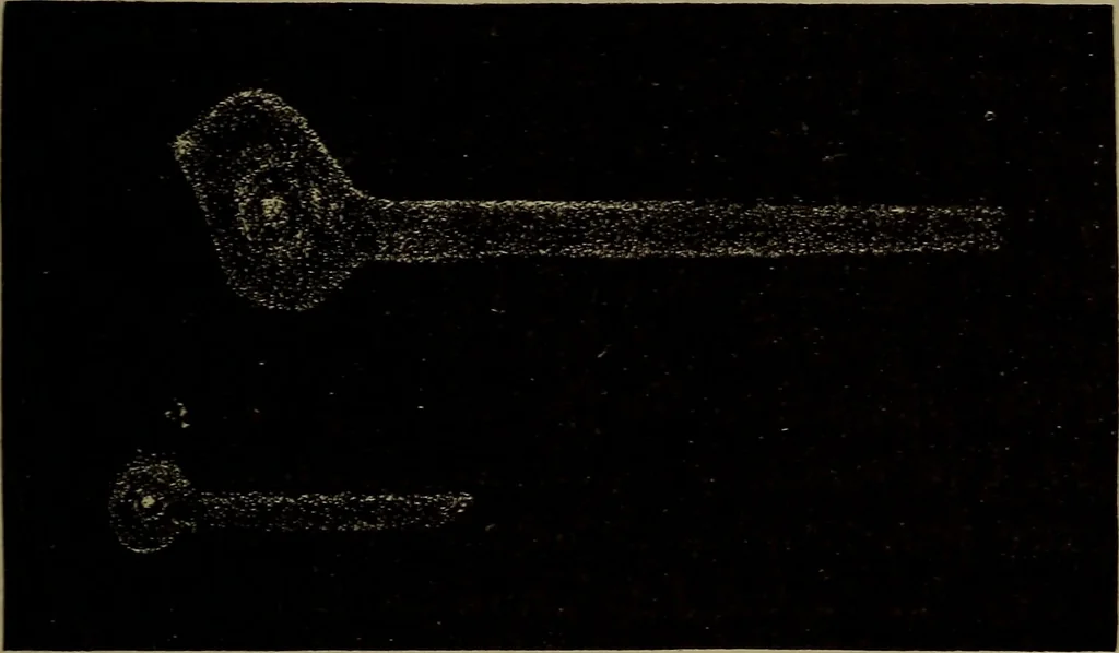 An illustration from Astronomy for schools and general readers, 1892, leaf 206