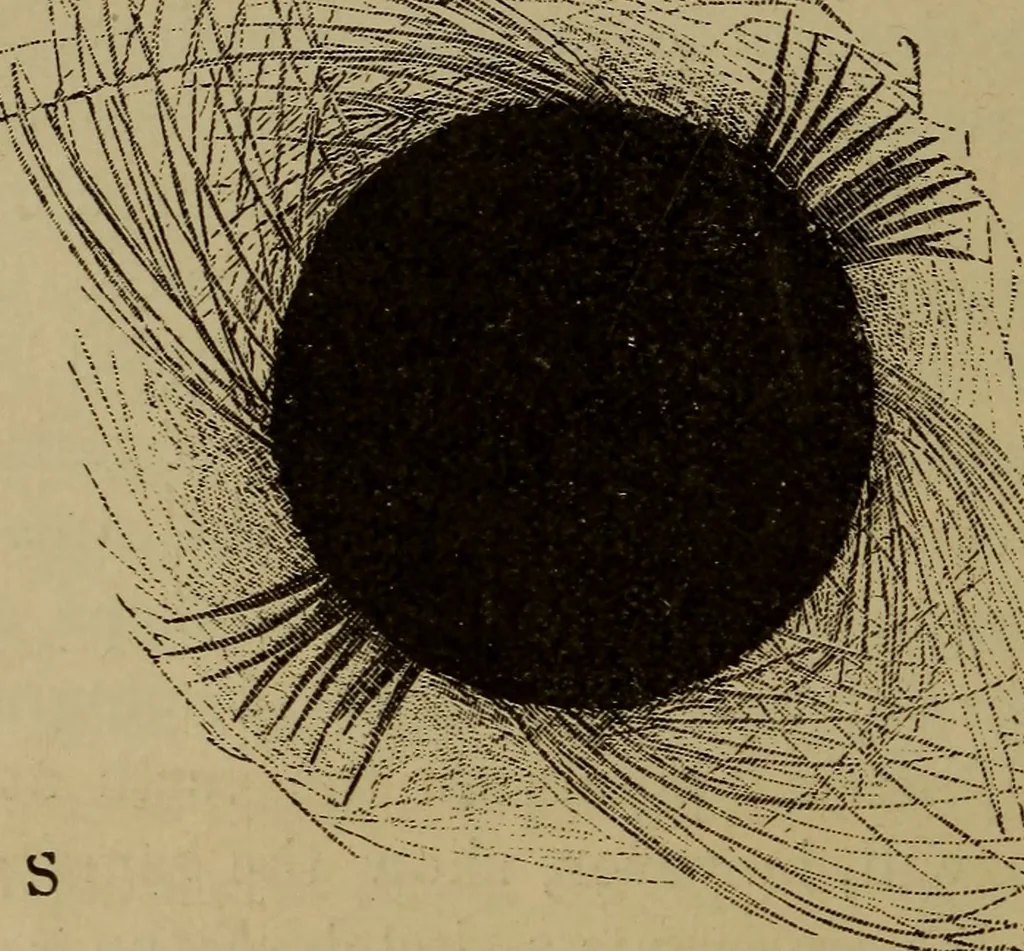 An illustration from Astronomy for schools and general readers, 1892, leaf 53