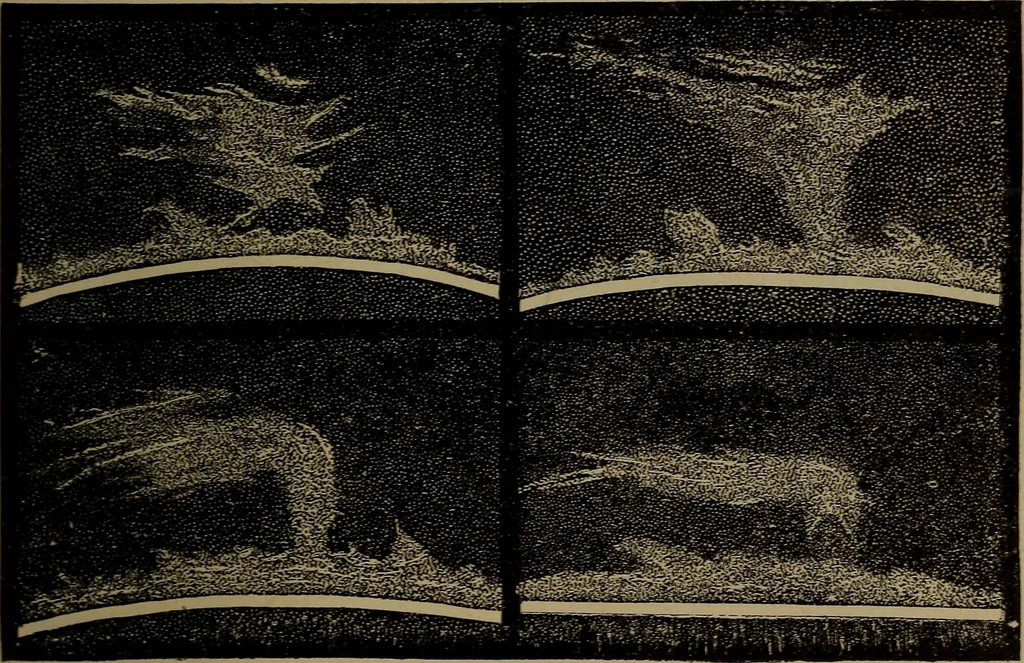 An illustration from Astronomy for schools and general readers, 1892, leaf 54
