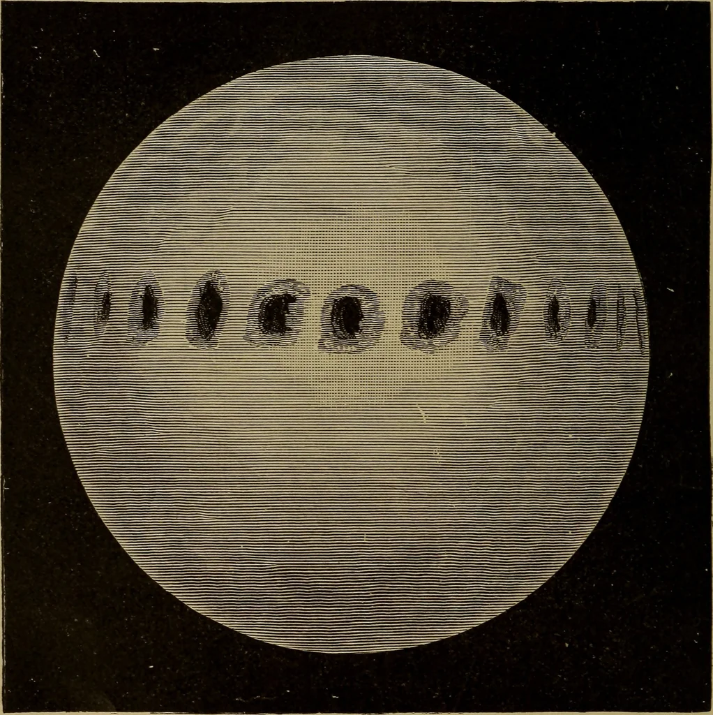 An illustration from Astronomy for schools and general readers, 1892, leaf 59