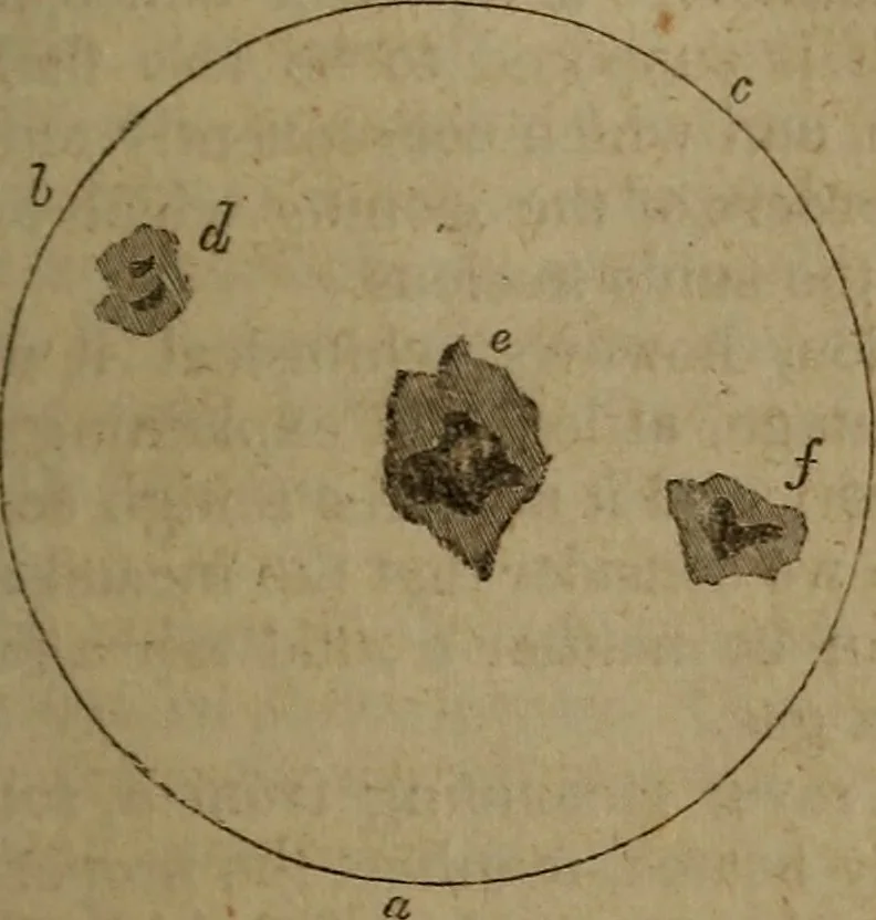 An illustration from Astronomy for schools; upon the basis of Mons. Arago's lectures at the Royal observatory of Paris .., 1841, leaf 106