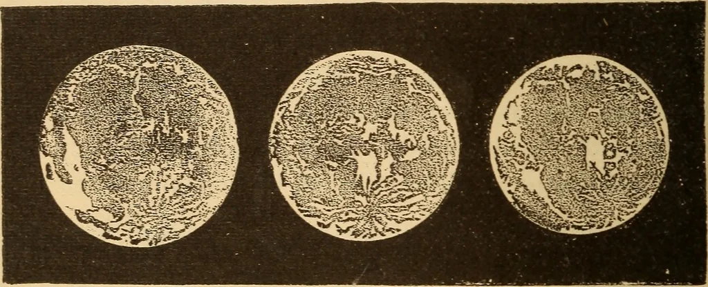 An illustration from Astronomy for the use of schools and academies, 1882, leaf 107