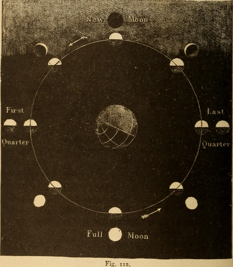 An illustration from Astronomy for the use of schools and academies, 1882, leaf 113