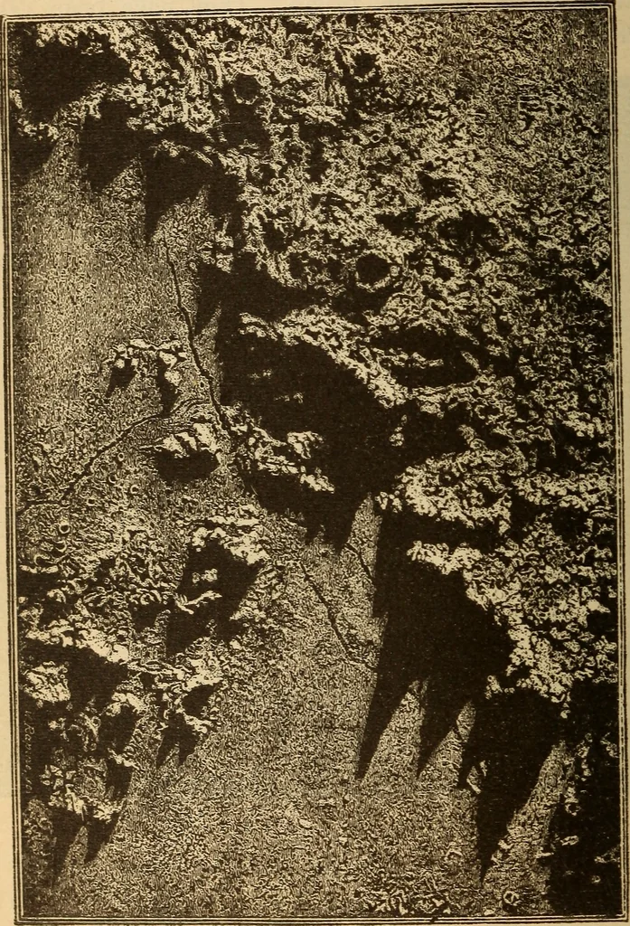An illustration from Astronomy for the use of schools and academies, 1882, leaf 141