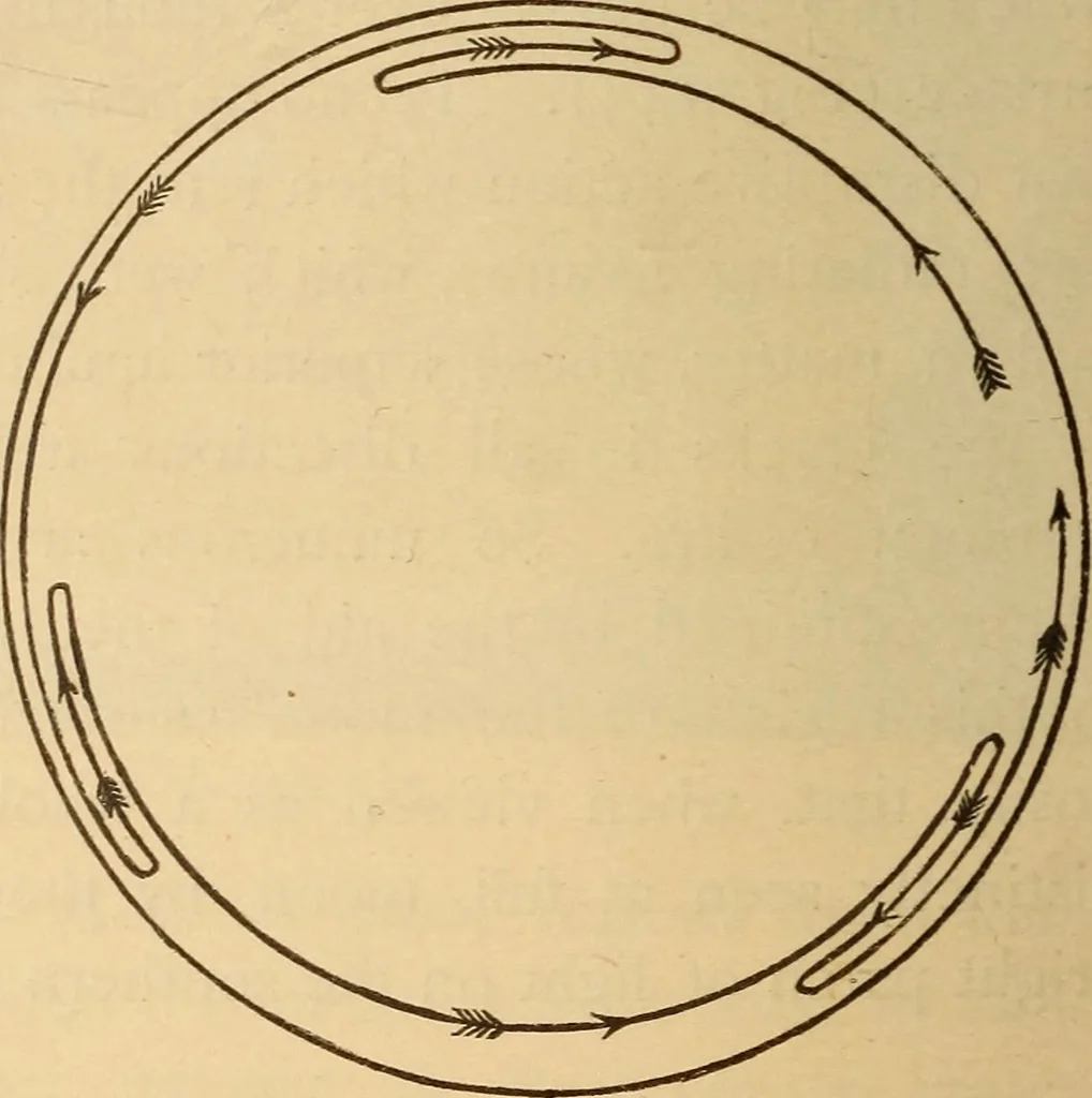 An illustration from Astronomy for the use of schools and academies, 1882, leaf 147