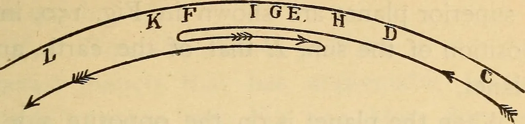 An illustration from Astronomy for the use of schools and academies, 1882, leaf 152