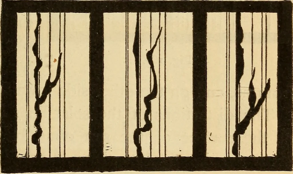 An illustration from Astronomy for the use of schools and academies, 1882, leaf 192