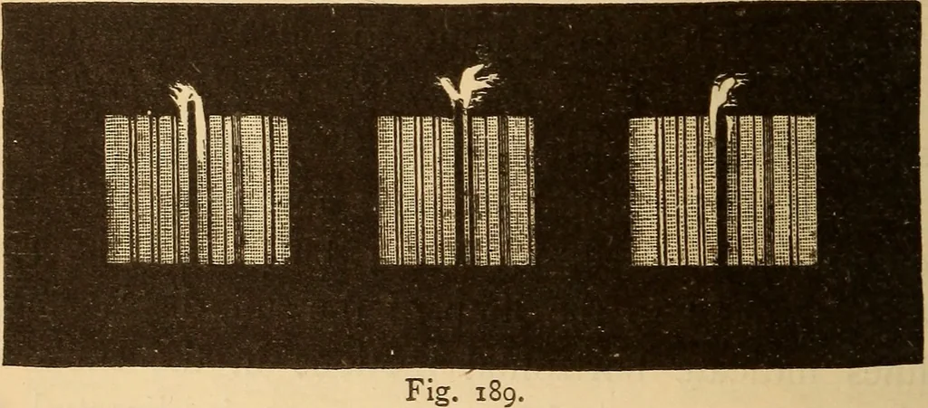 An illustration from Astronomy for the use of schools and academies, 1882, leaf 193