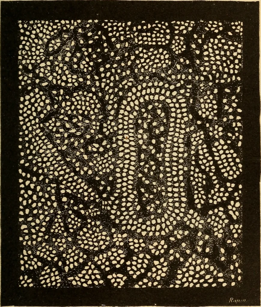 An illustration from Astronomy for the use of schools and academies, 1882, leaf 194