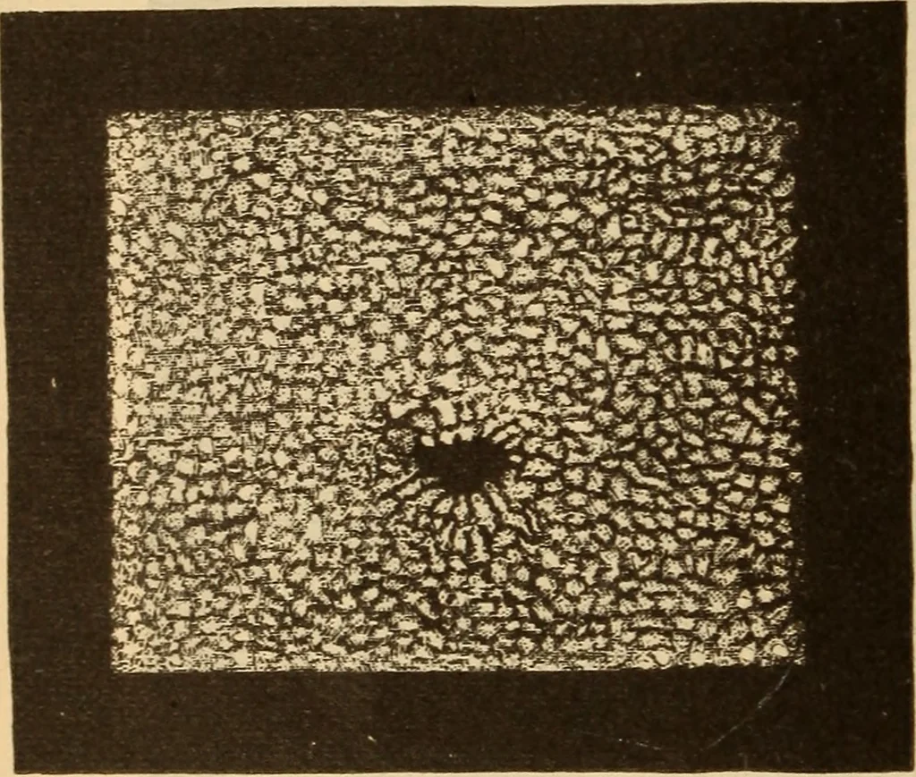 An illustration from Astronomy for the use of schools and academies, 1882, leaf 195