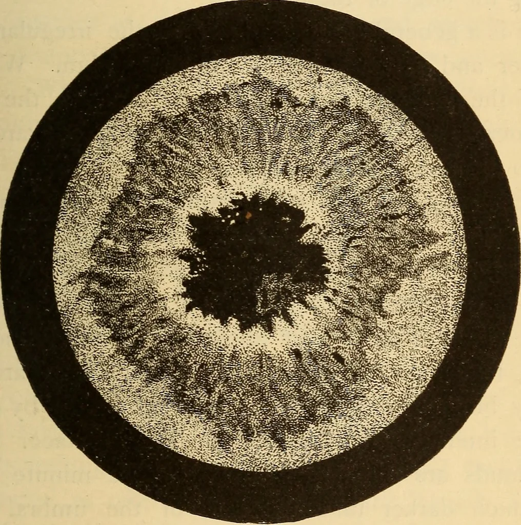 An illustration from Astronomy for the use of schools and academies, 1882, leaf 198