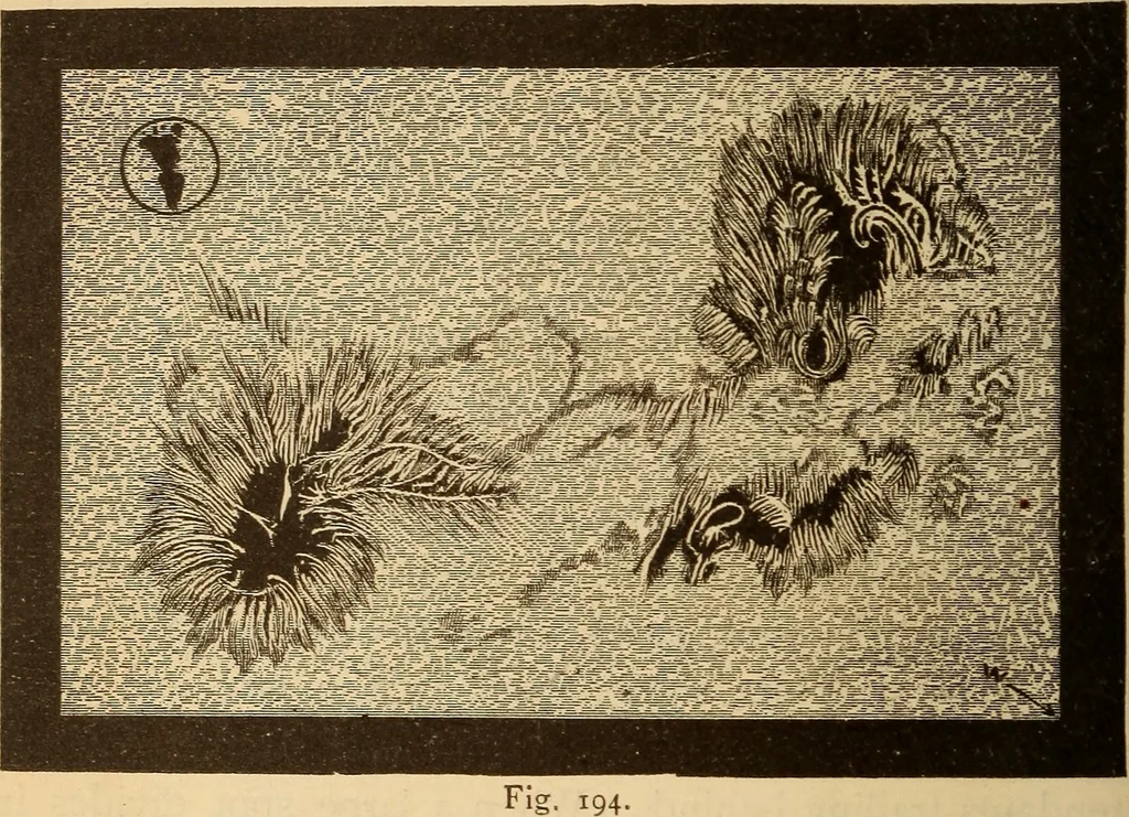 An illustration from Astronomy for the use of schools and academies, 1882, leaf 201