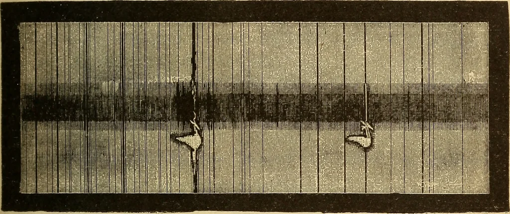 An illustration from Astronomy for the use of schools and academies, 1882, leaf 212