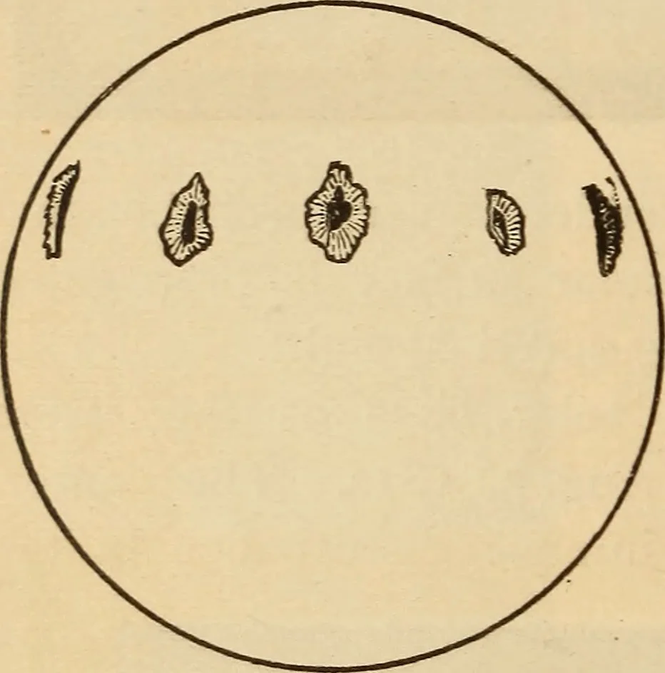 An illustration from Astronomy for the use of schools and academies, 1882, leaf 213