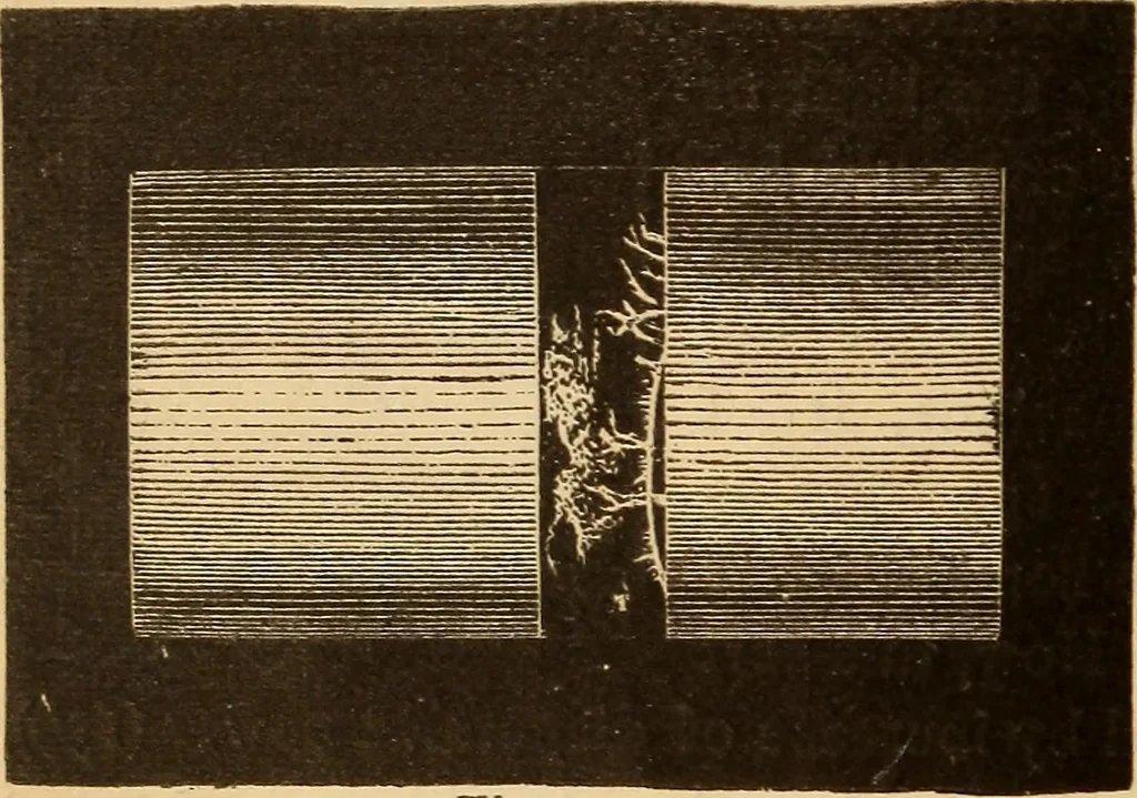 An illustration from Astronomy for the use of schools and academies, 1882, leaf 221