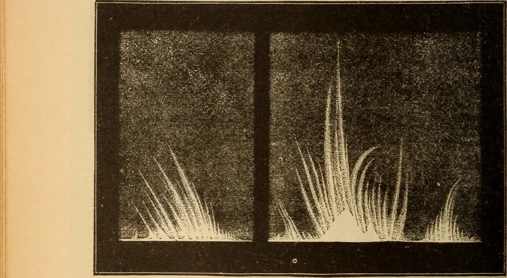 An illustration from Astronomy for the use of schools and academies, 1882, leaf 225