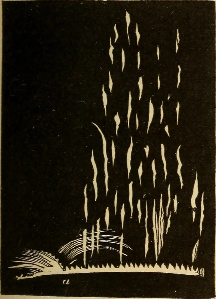 An illustration from Astronomy for the use of schools and academies, 1882, leaf 226