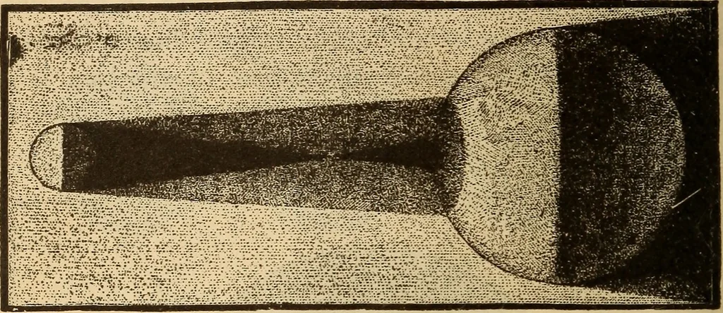 An illustration from Astronomy for the use of schools and academies, 1882, leaf 241