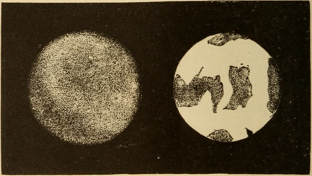 An illustration from Astronomy for the use of schools and academies, 1882, leaf 255