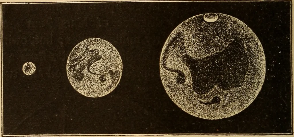 An illustration from Astronomy for the use of schools and academies, 1882, leaf 259
