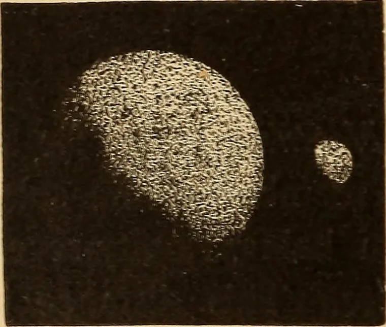 An illustration from Astronomy for the use of schools and academies, 1882, leaf 299