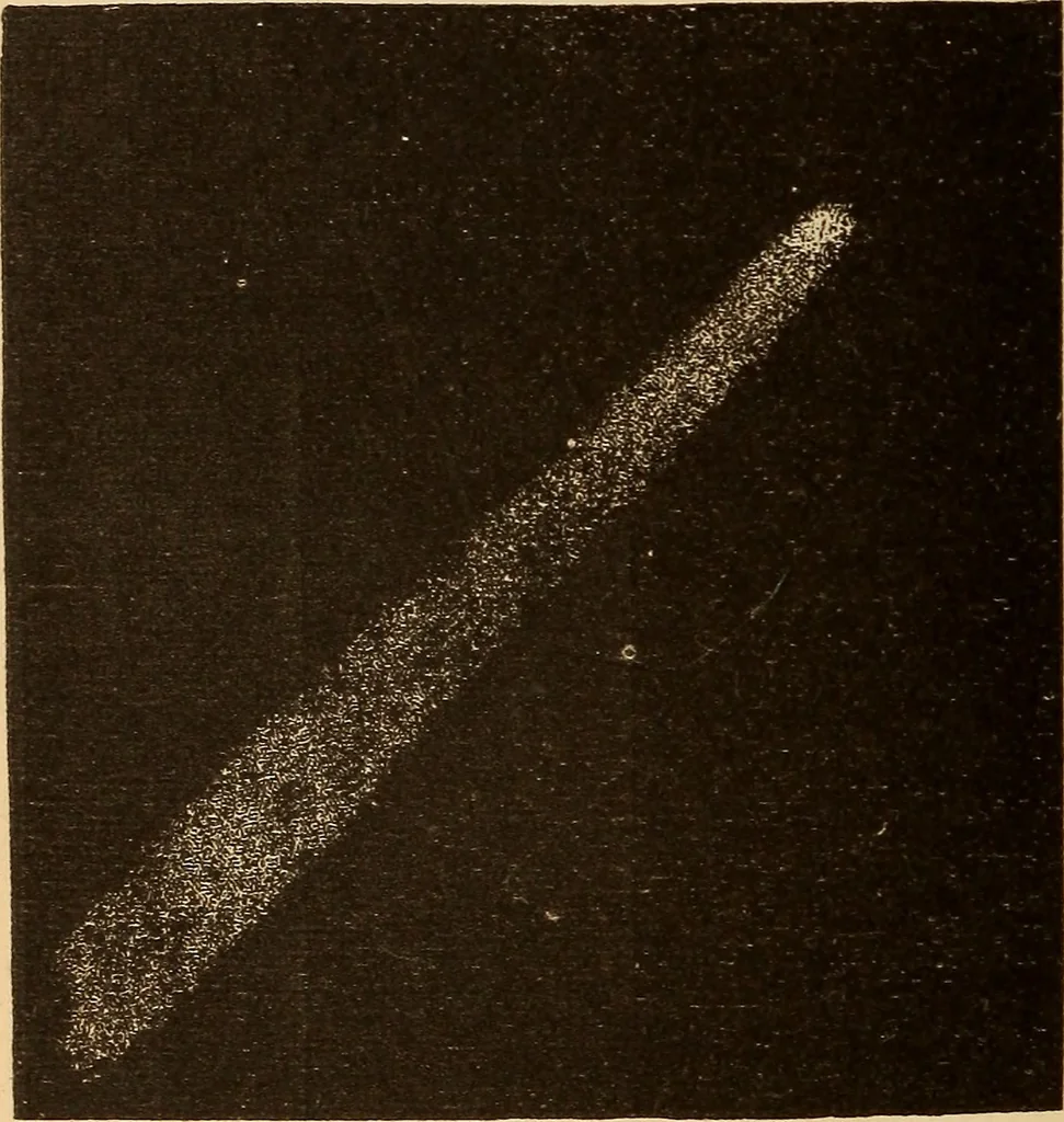 An illustration from Astronomy for the use of schools and academies, 1882, leaf 301
