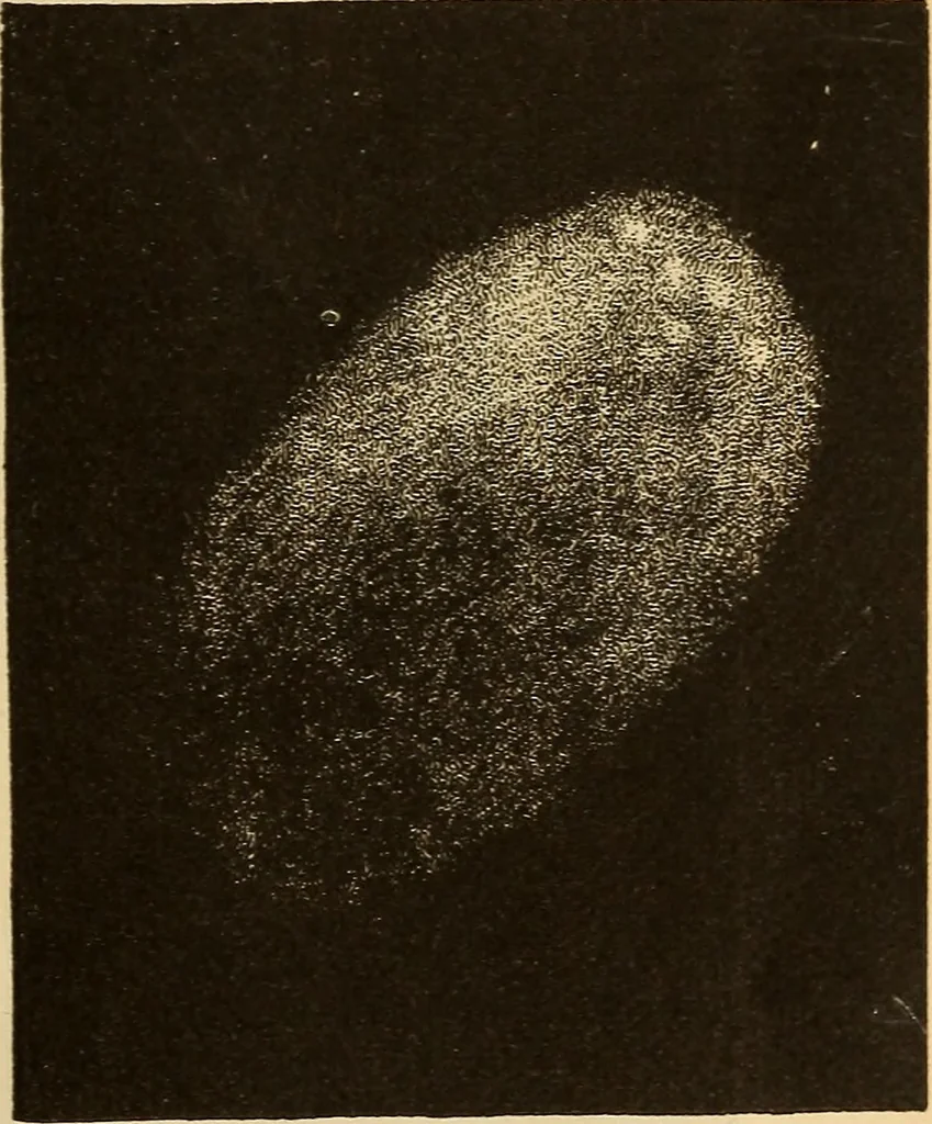 An illustration from Astronomy for the use of schools and academies, 1882, leaf 302