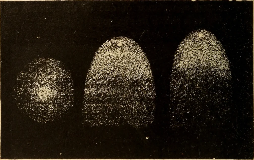 An illustration from Astronomy for the use of schools and academies, 1882, leaf 303