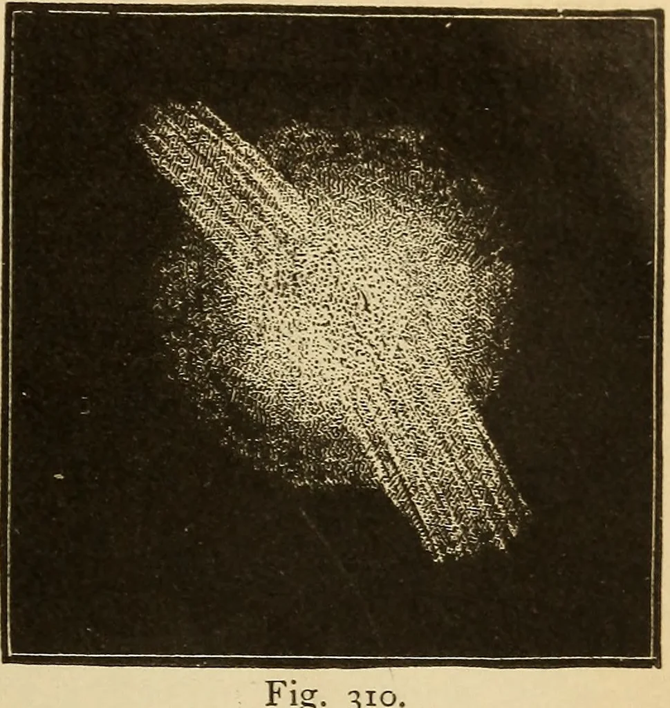An illustration from Astronomy for the use of schools and academies, 1882, leaf 304