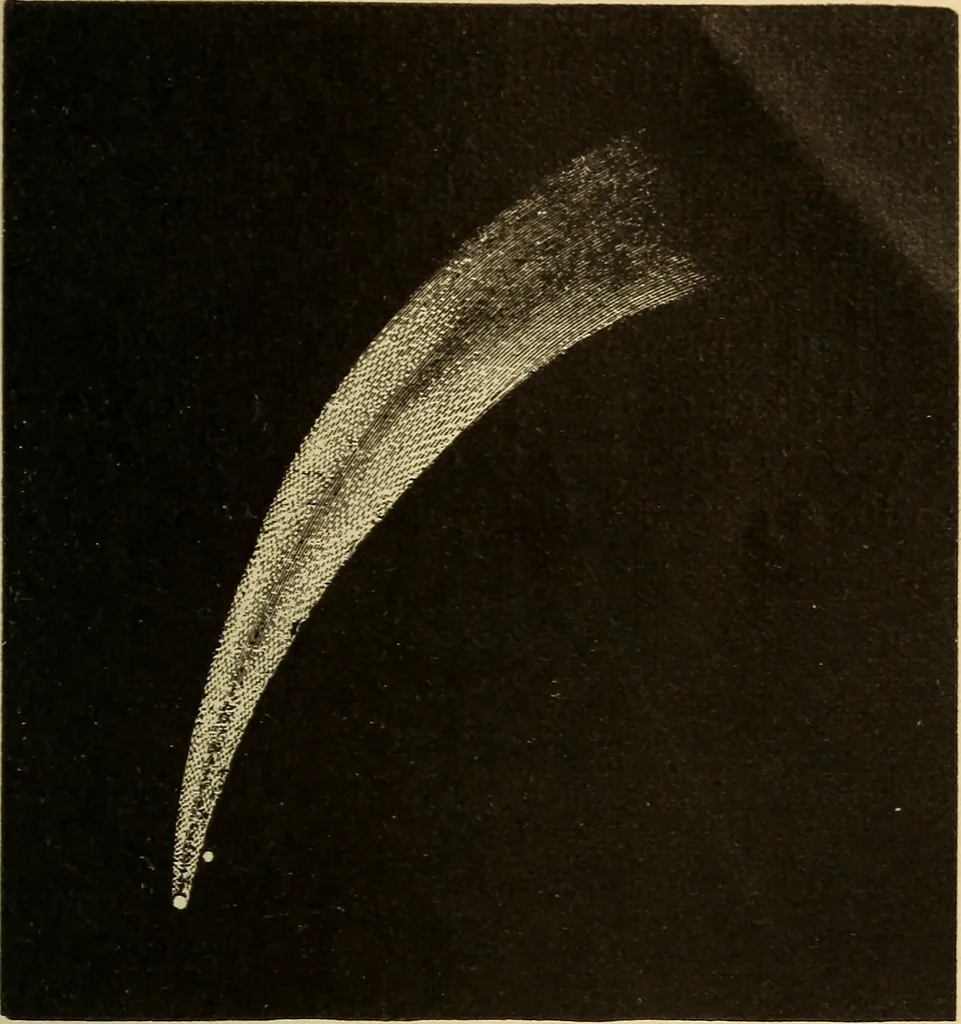 An illustration from Astronomy for the use of schools and academies, 1882, leaf 310