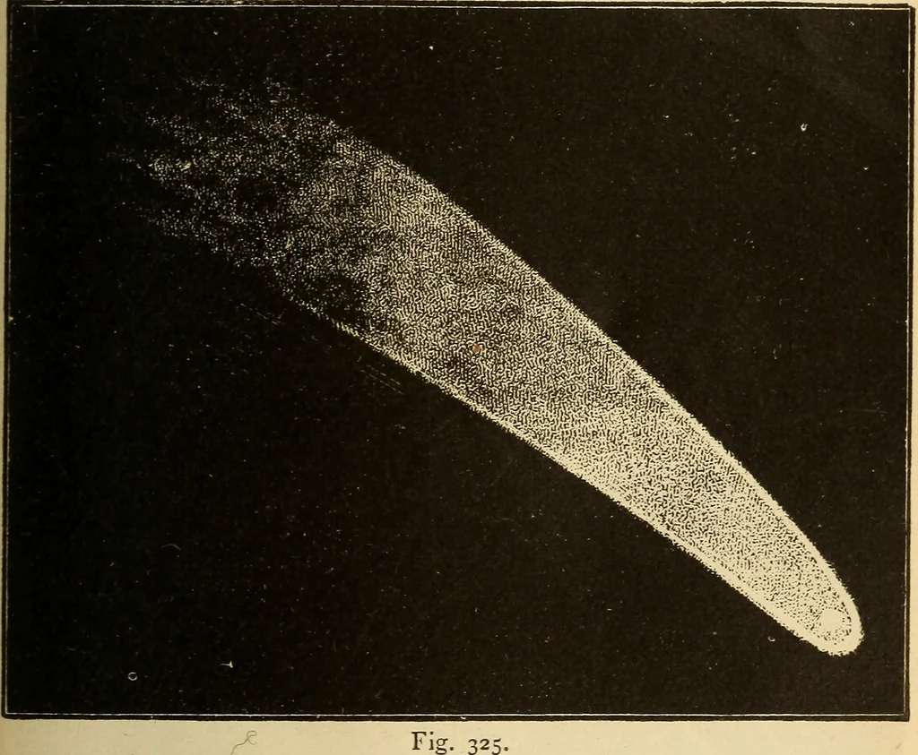 An illustration from Astronomy for the use of schools and academies, 1882, leaf 318
