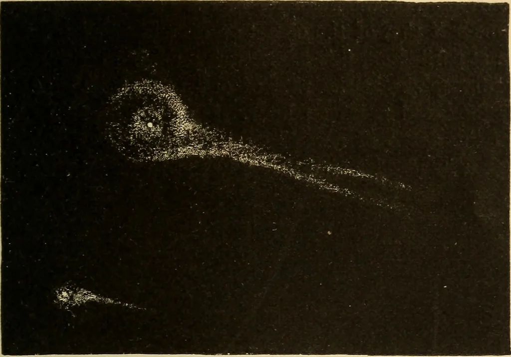 An illustration from Astronomy for the use of schools and academies, 1882, leaf 322