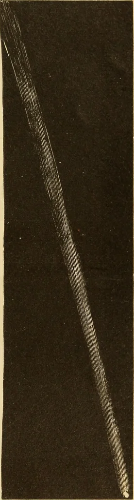An illustration from Astronomy for the use of schools and academies, 1882, leaf 324