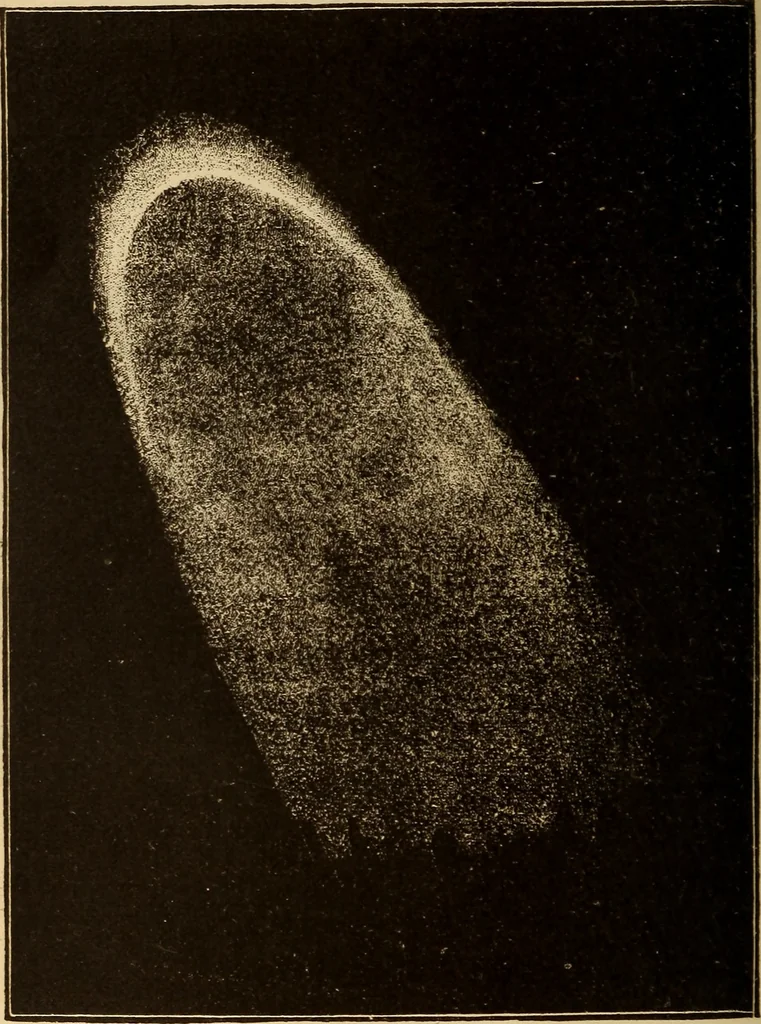 An illustration from Astronomy for the use of schools and academies, 1882, leaf 329