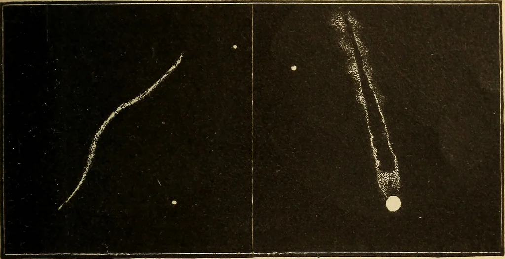 An illustration from Astronomy for the use of schools and academies, 1882, leaf 332